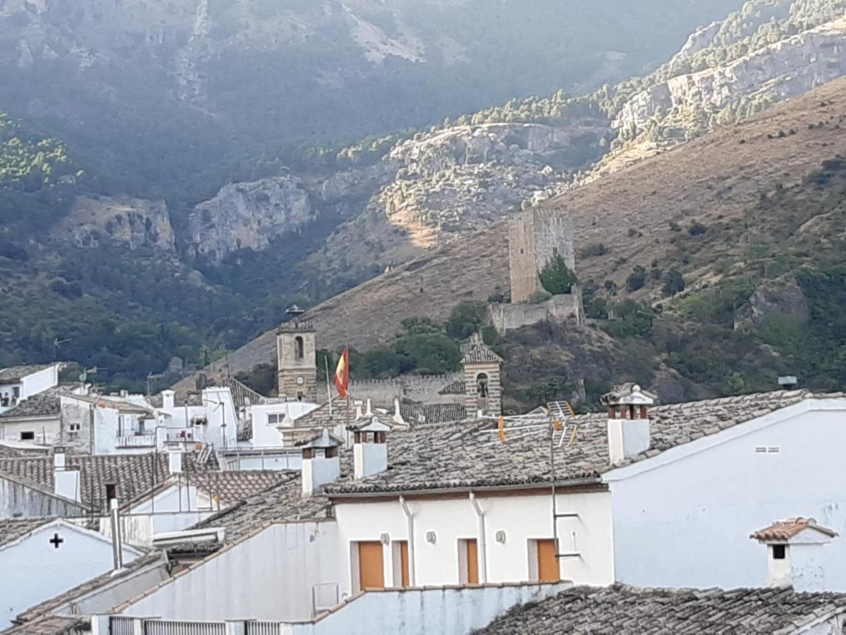 Vision Cazorla